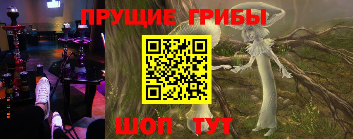 Галлюциногенные грибы GOLDEN TEACHER Краснодар