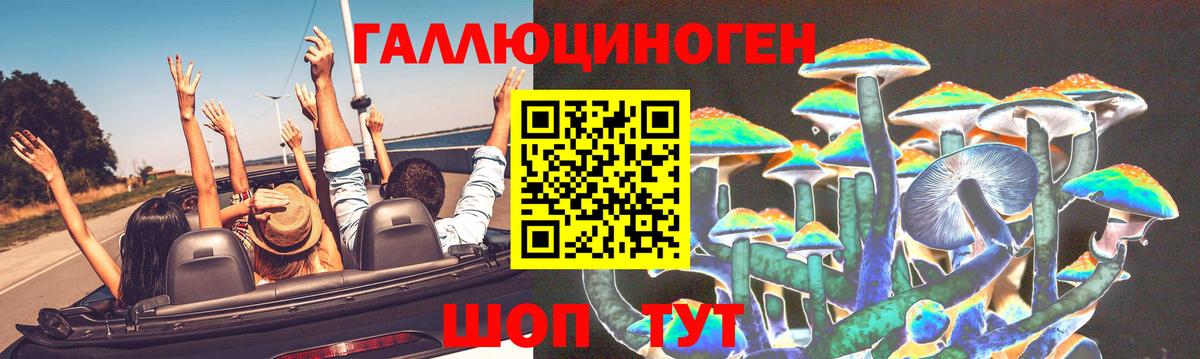 Краснодар  Псилоцибиновые грибы Psilocybine cubensis  Псилоцибиновые грибы Psilocybe  Вход с VPN 